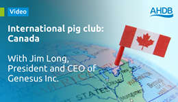 International pig club: Canada